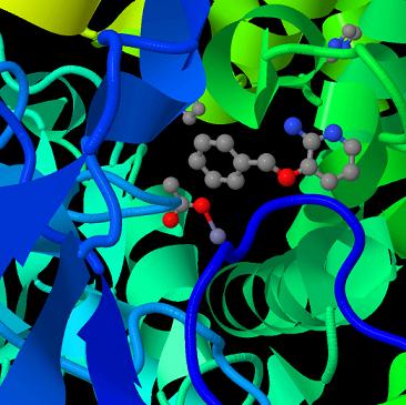 Maybridge Ro3 Fragments Generate Hits in SPR Screening of Key Protein Targets